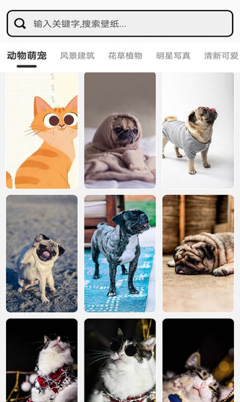 元气小组件手机版截图2