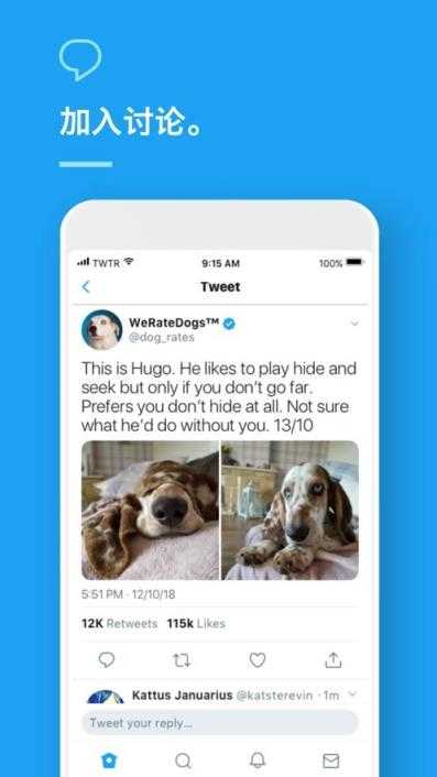 蓝鸟twitter截图3