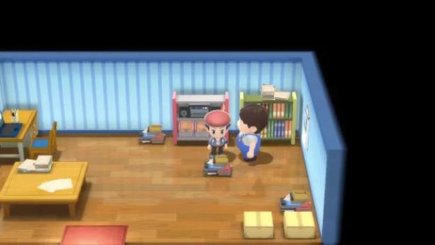 宝可梦晶灿钻石明亮珍珠回忆技能位置