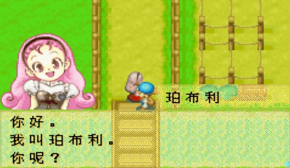 赛马牧场物语中文版截图3