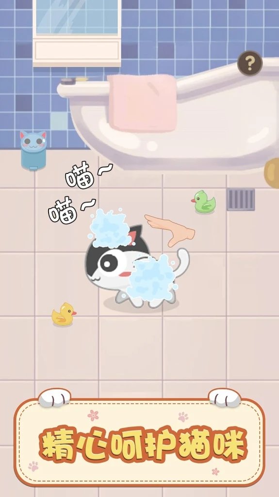 奇妙猫之家截图3