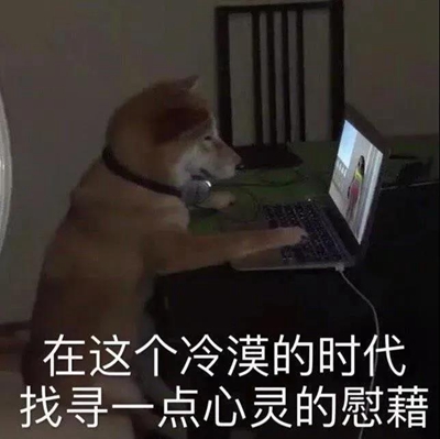 在这个冷漠的时代 找寻一点心灵的慰藉表情包