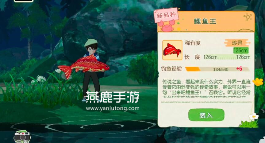 小森生活鲤鱼王刷新位置介绍