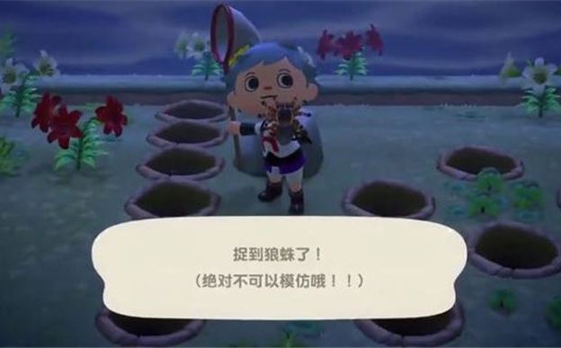 动物森友会抓狼蛛技巧攻略