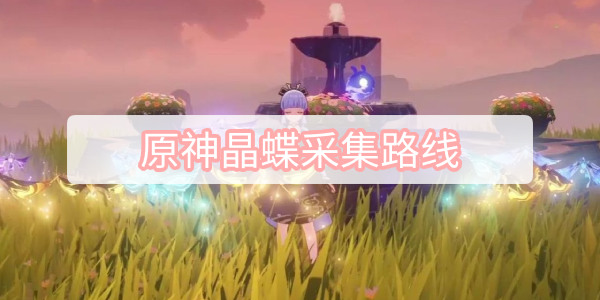 原神晶蝶采集路线
