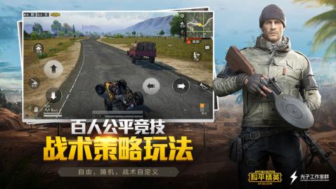 和平精英gm服截图1