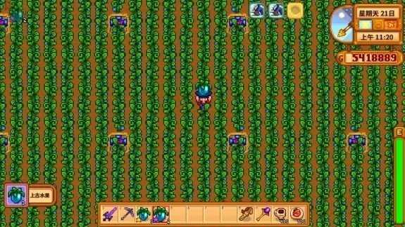 星露谷物语手机版联机版截图3