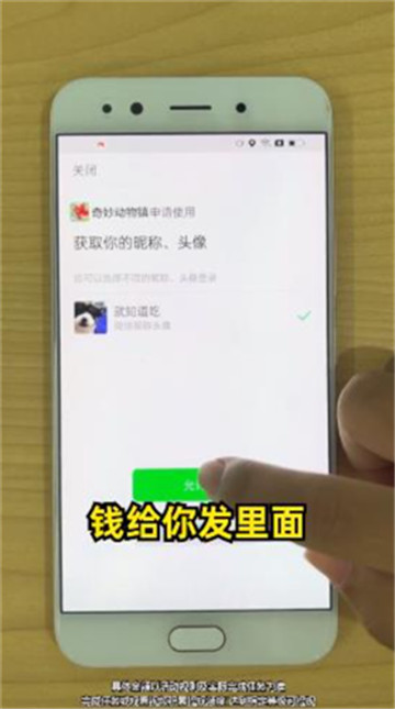 奇妙动物镇截图2