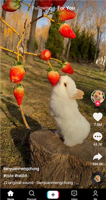 国际抖音tiktok截图1