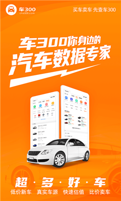 车300二手车截图3