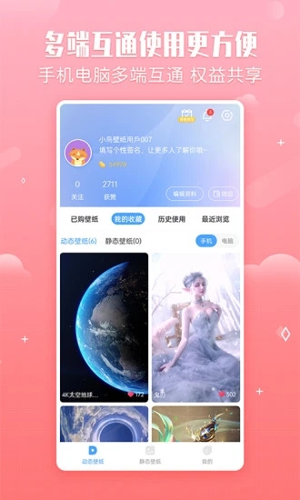 小鸟壁纸截图1