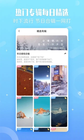 小鸟壁纸