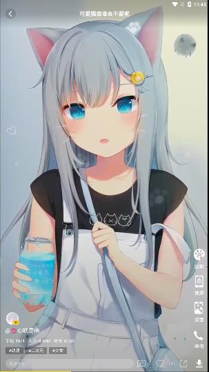 熊猫动态壁纸截图1