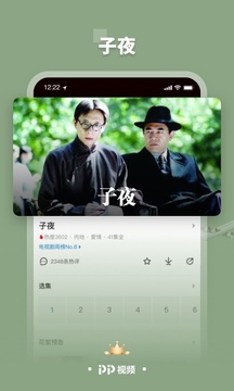 PP视频截图2