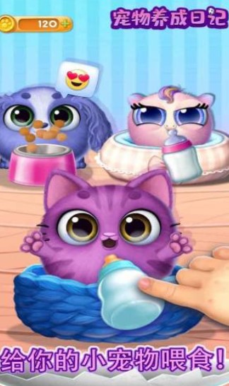 宠物养成日记截图2