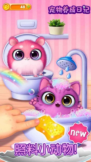 宠物养成日记截图3