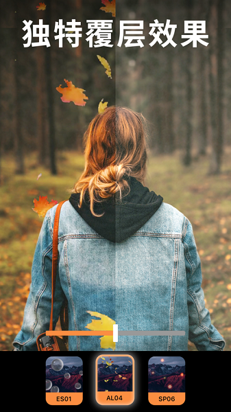 motionleap免费版截图3