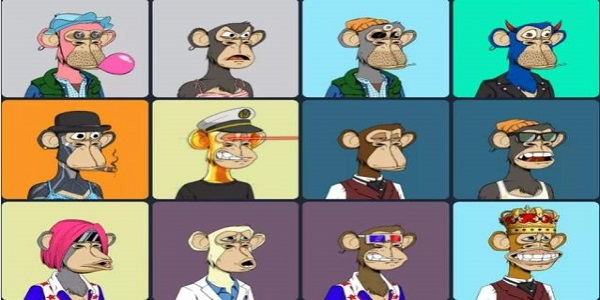 沃野数字藏品截图3