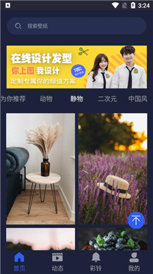 屏保壁纸大全截图1