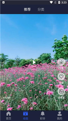 屏保壁纸大全截图3