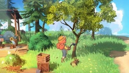 舒适的小岛正版