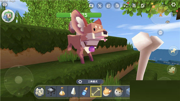 迷你世界国际服