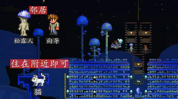 泰拉瑞亚国际服