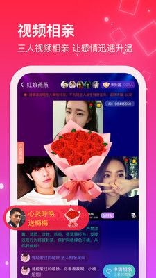 红线相亲截图1