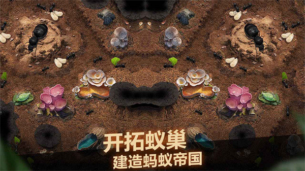 小小蚁国官服截图5