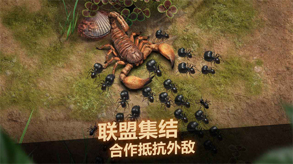 小小蚁国九游版截图3