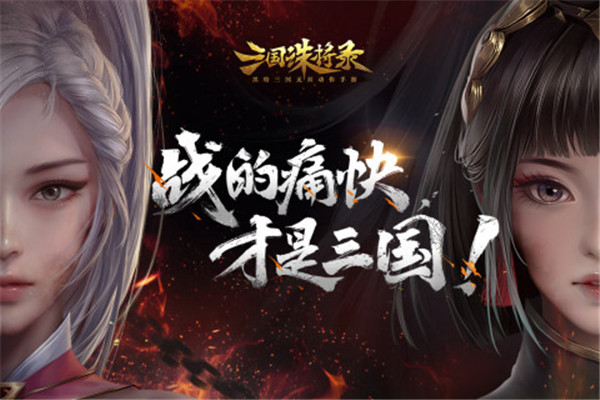 三国诛将录截图5