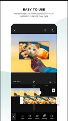 CapCut