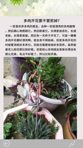 多肉花草日记截图2
