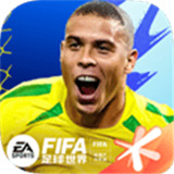 fifa足球世界国际服