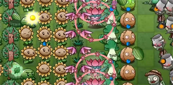 PVZ
