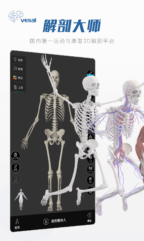 解剖大师截图1