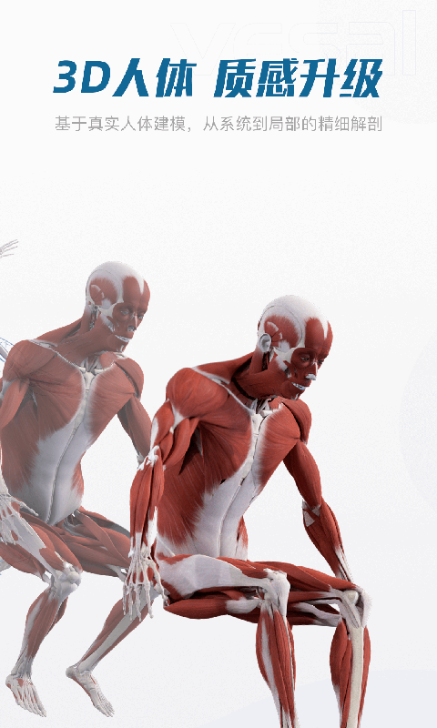 解剖大师截图2
