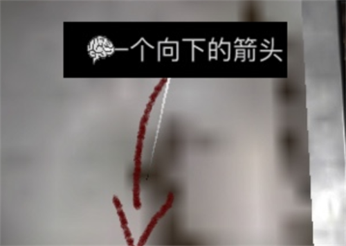 孙美琪疑案之王爱国