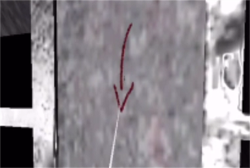 孙美琪疑案之王爱国