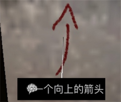 孙美琪疑案之王爱国