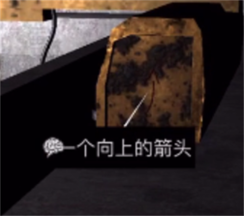 孙美琪疑案之王爱国