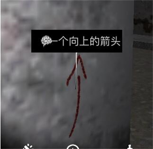 孙美琪疑案之王爱国