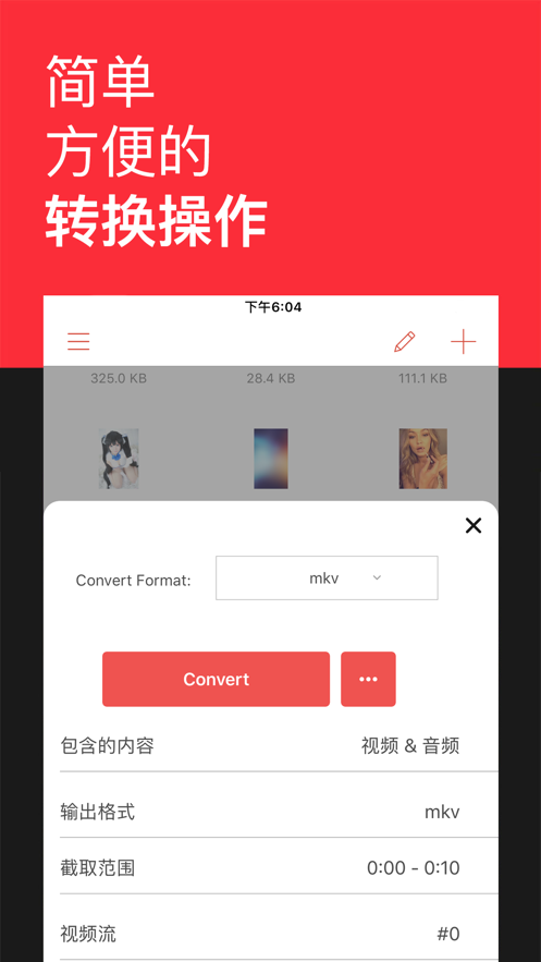 格式转换截图3