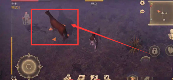 冷酷灵魂黑暗幻想生存