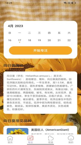 百花步数手机版截图1