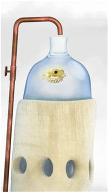 行走的老鲸鱼截图3