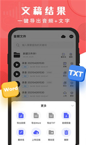 精准录音转文字app手机版截图1