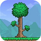 5playru泰拉瑞亚1.4.4.9国际版