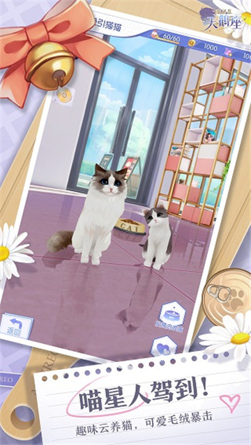 梦间集天鹅座截图1