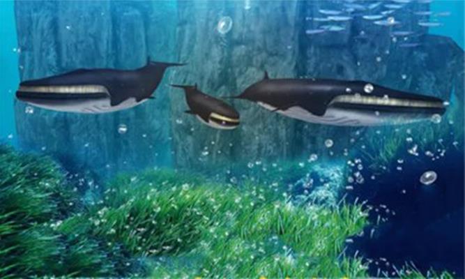 鲸鱼生存大作战截图3